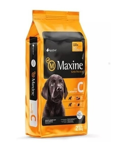 Maxine Cachorro 21 Kg Envío Gratis Mp