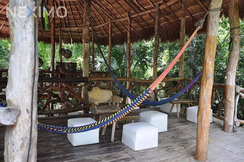 Imagen 2 de 13 de Terreno En Venta Ubicado En Leona Vicario, Puerto Morelos, Quintana Roo