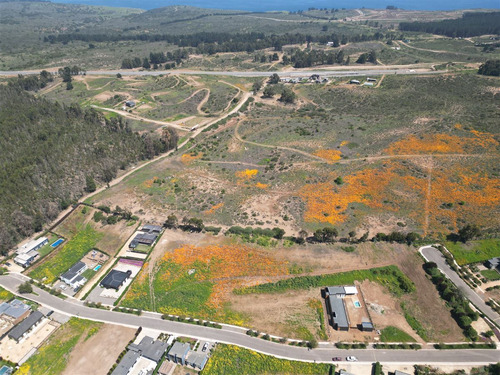 Terreno Con Potencial De Proyecto Inmobiliario Maitencillo