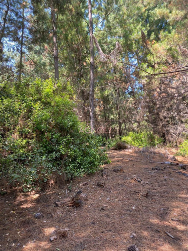 En Venta Excelente Sitio A 5 Minutos De Puertecillo