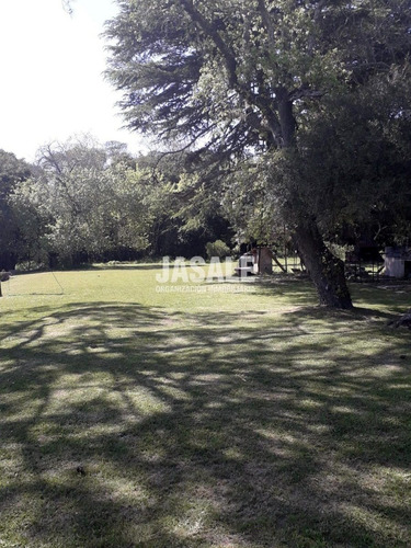 Imagen 6 de 7 de 3.8 Has Casa Quinta - Atalaya, Ptdo Magdalena, Buenos Aires