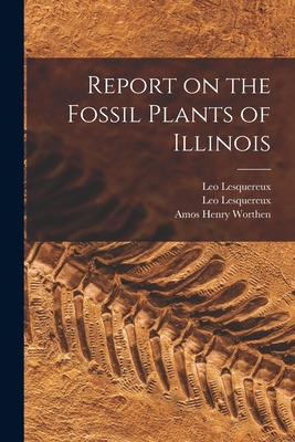 Libro Report On The Fossil Plants Of Illinois - Lesquereu...