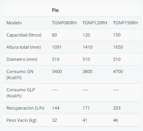Termotanque A Gas Rheem 120 Litros Tgnp120rh Superior Pie