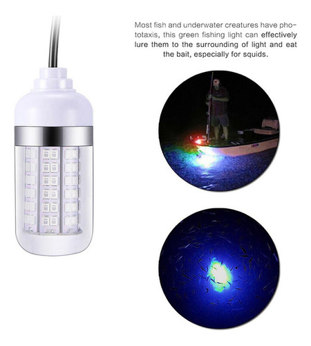 . Lámpara De Luz Subacuática Led Impermeable 12v Para Peces
