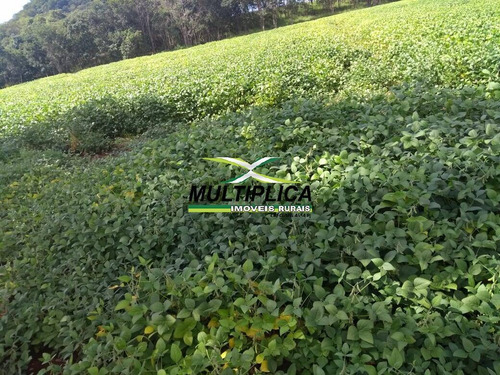 Imagem 3 de 3 de Fazenda Uberlândia, Agricultura, Pecuária, 101.64 Ha, R$ 41.322,00 Por Ha - 405
