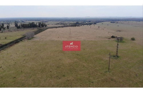 Campo De 20 Has Ubicado En Las Afueras De Nogoya