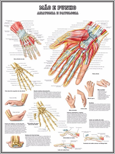 Poster Anatomia Da Mão 65x100cm Decorar Clínica Medicina Enfermagem - Fisioterapia - Reabilitação - Plastificado