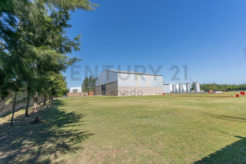 Imagen 4 de 30 de Venta - Galpon - Planta Industrial - Zarate