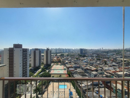 Apartamento À Venda - São João Clímaco, 2 Quartos, 52 - S893128362