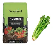 Comprar Sustrato Huertas Terrafertil 50lt Con Semillas De Apio