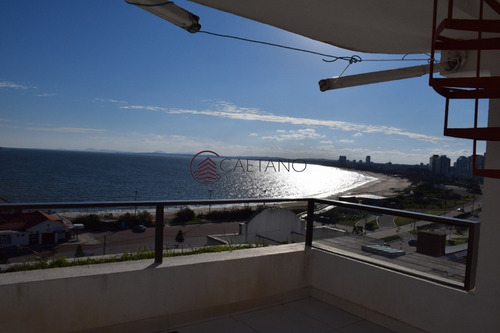 Primera Linea- Ref: 2534