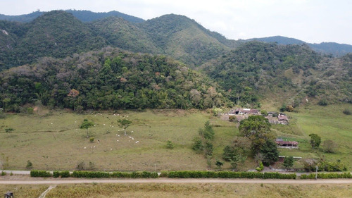 Imagen 8 de 8 de Finca En Venta Con Tradición Cafetalera Y Caña.