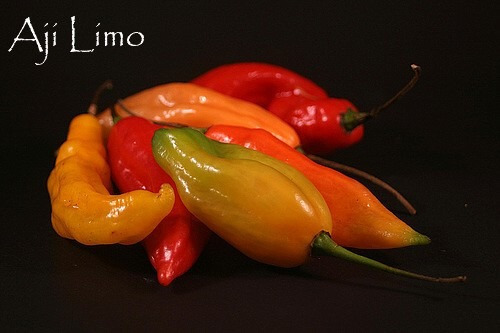 Imagem 2 de 4 de Aji Limo Peruano Capsicum Chinense Chili Sementes Para Mudas