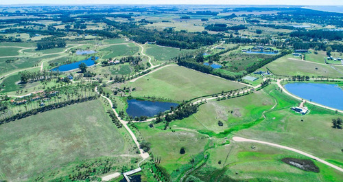 Imagen 3 de 12 de Terreno En Manantiales, Punta Del Este - Laguna Estates