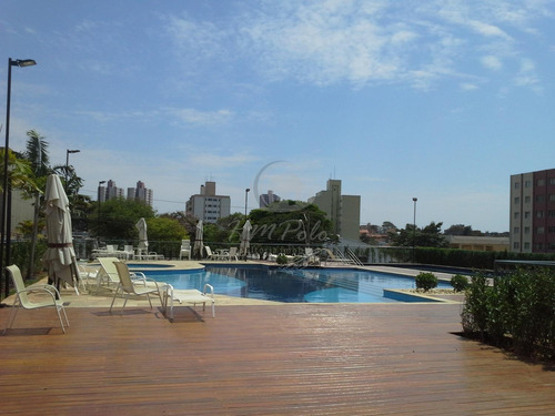 Imagem 23 de 30 de Apartamento À Venda Em Ponte Preta - Ap034590