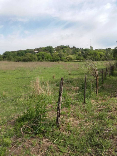 Imagen 1 de 8 de Campo En Alquiler La Granja Córdoba