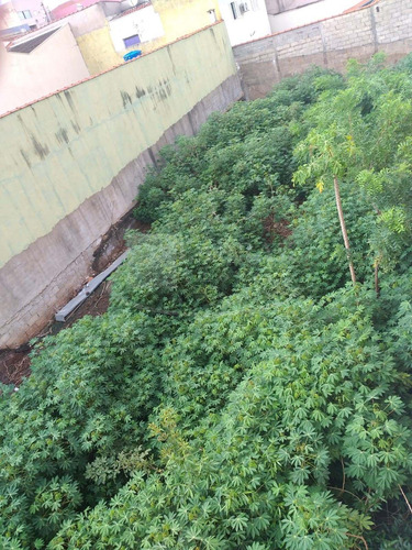 Oportunidade. Terreno Para Venda Na Vila Virginia / Jd Piratininga, Na Rangel Pestana, 300 M2, 10 M De Frente, Murado, Portao E Pronto Para Construir - Te00524 - 68899839