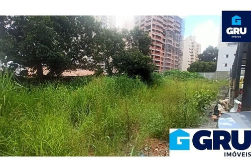 Imagem 10 de 10 de Terreno De 2.100 M² Localizado No Centro - Te703