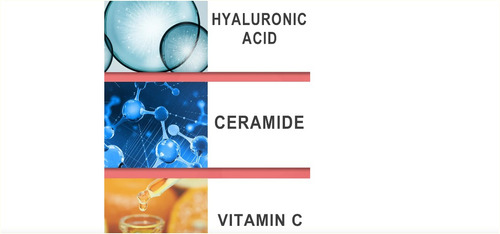 2 Collagen Boost- Matrixyl Hyaluronic- Original+ Brinde