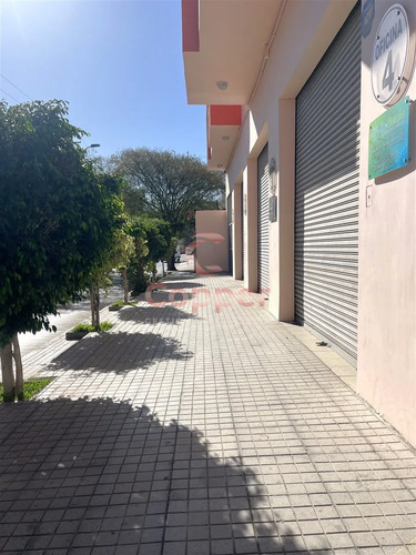 Oficina Comercial En Arriendo En Copiapó