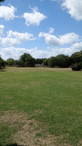Quinta En Venta - 8 Dormitorios 5 Baños - Cocheras - 14.800mts2 - Salto
