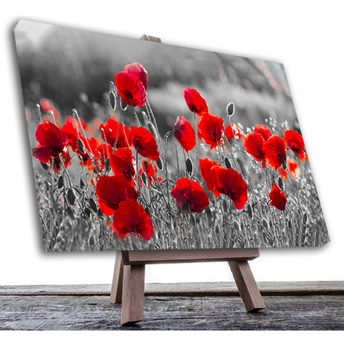 Cuadro Decorativo Campo Flores  Con Vivos Rojos 12 60x40