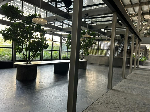 Local Comercial En Renta, Américas, 281 M2