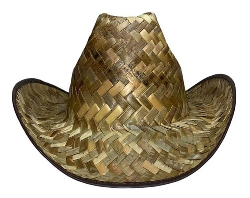 5 Sombrero Rodeo Vaquero Niño Palma Fiesta Granja Country Color Café