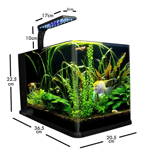 Imagen 2 de 9 de Pecera Acuario Nano Termoformado C/filtro Interno 14 Litros