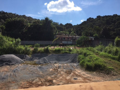 Imagem 5 de 6 de Terreno A Venda No Centro De Piracaia Sp - Te00054 - 67719831