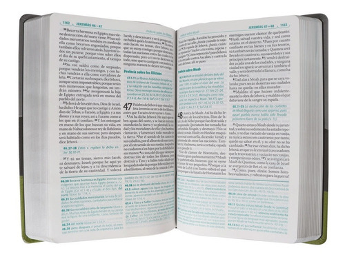 biblia reina valera 1960 pdf biblia reina valera 1960 pdf