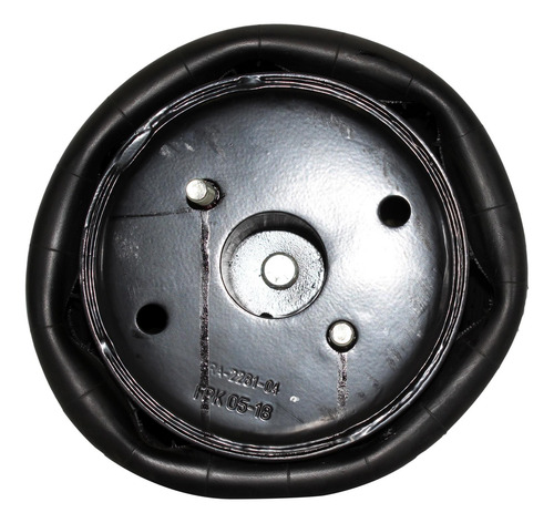 Pulmon Suspension 1t15m-8 Fs250 Completo