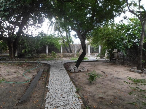 Imagem 18 de 30 de Casa Para Alugar Na Cidade De Fortaleza-ce - L12481