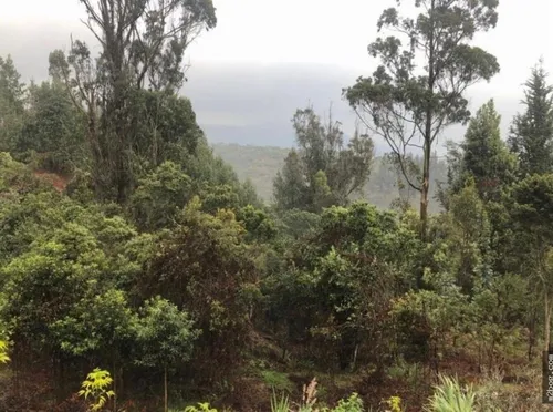 Vendo Lote En Conjunto Cerrado En La Calera