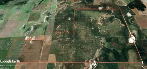 Imagen 5 de 5 de Campo En Venta, Laboulaye, Cordoba