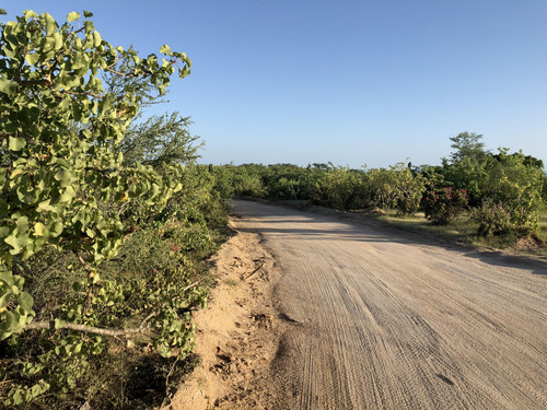 Zacaton Playa Tortuga, Zacaton Developer Land