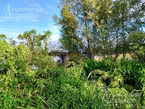 Imagen 4 de 14 de Terreno - Urion
