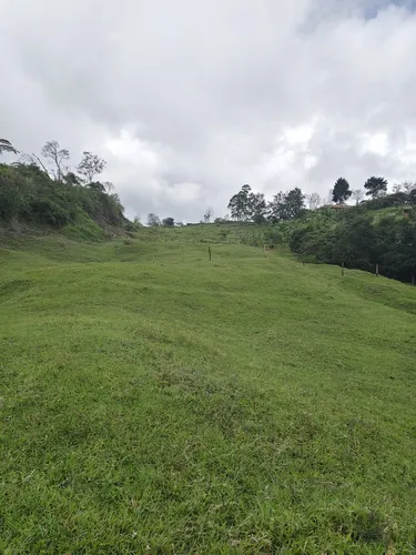 Vencambio Finca Excelente Ubicación. Fredonia
