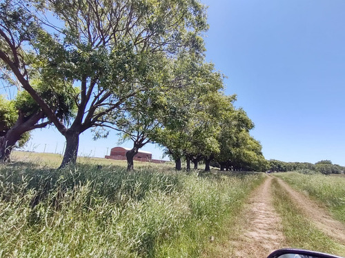 Gran Loteo En San Bernardo, Sobre Colectora!