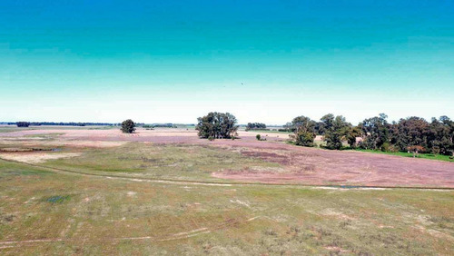 Imagen 2 de 10 de Campo Mixto De 46 Has - La Porteña, Lobos