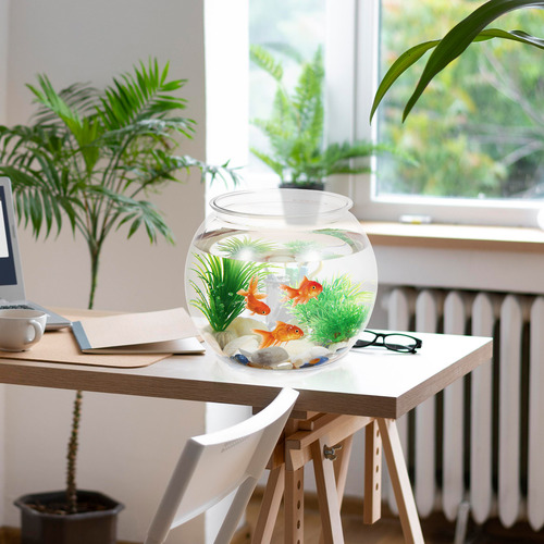 Acuario Redondo Transparente Con Pequeños Recipientes Para P