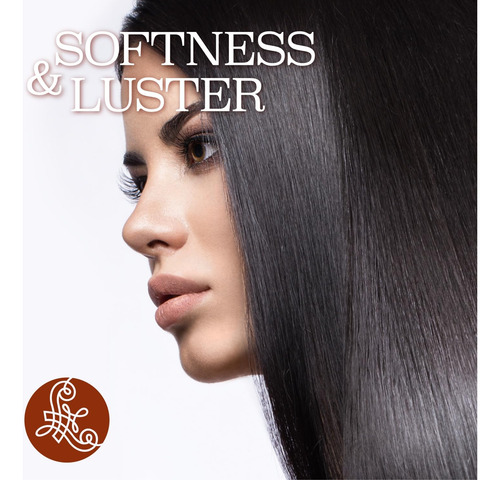 Conjunto De Shampoo E Condicionador Luseta Argan Oil 500ml S