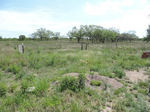 Oportunidad !!! Campo Productivo, Cría Y Siembra - 65 Has En San Pedro, Cba.