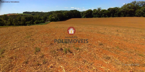 Imagem 8 de 11 de Área Para Venda Em Contenda, Contenda - Ar0613_2-1449826