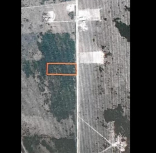 Lote 7 Hectáreas Sobre Ruta 208