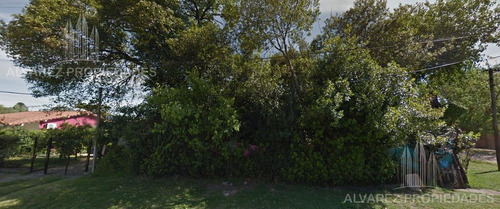 Imagen 3 de 6 de Terreno - Villa León