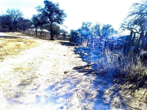 Campo De 593 Has En Puerto Alegre, San Luis