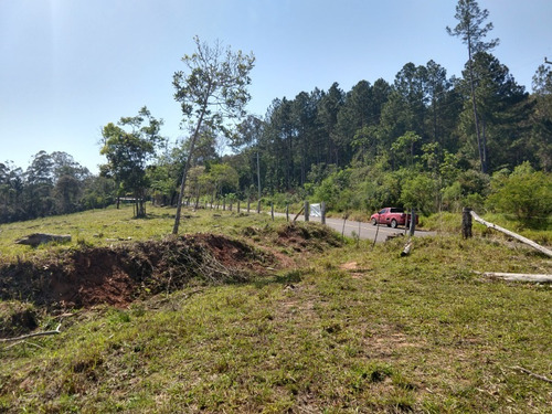 Chácara 20.000 M² - Lomba Grande - Novo Hamburgo - Rs - 2229 - 34453770