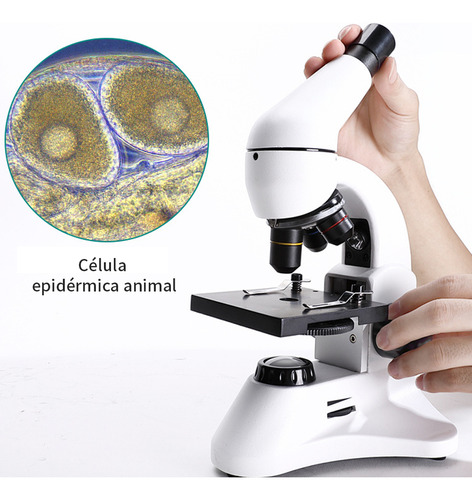Microscopio Monocular2000x Profesional Óptico Con Accesorios