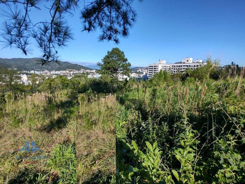 Imagem 9 de 26 de Terreno À Venda, 489 M² Por R$ 697.500,00 - Itacorubi - Florianópolis/sc - Te0085